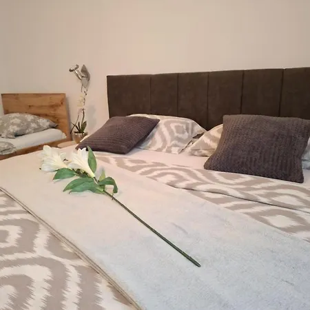 Tomislav Apartamento Vrsi