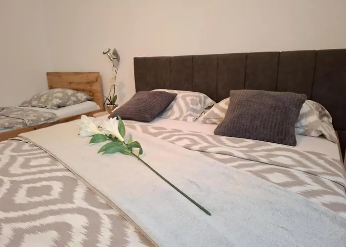 Tomislav Apartment Vrsi